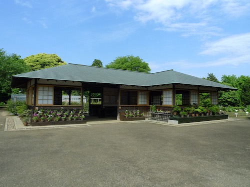 千葉　国立歴史民俗博物館　くらしの植物苑